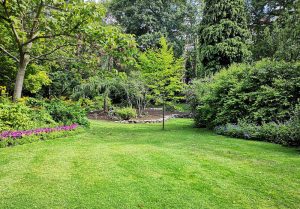 Optimiser l'expérience du jardin à Cresancey